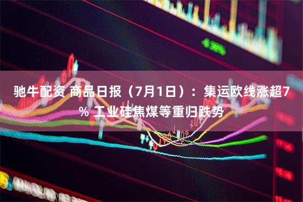 驰牛配资 商品日报（7月1日）：集运欧线涨超7% 工业硅焦煤等重归跌势