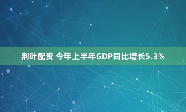 荆叶配资 今年上半年GDP同比增长5.3%
