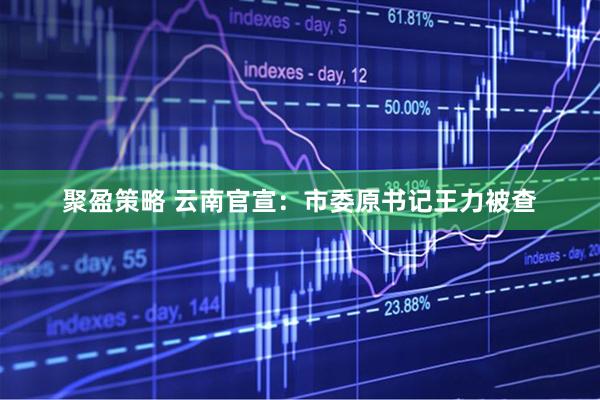 聚盈策略 云南官宣：市委原书记王力被查