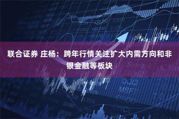 联合证券 庄杨:跨年行情关注扩大内需方向和非银金融等板块